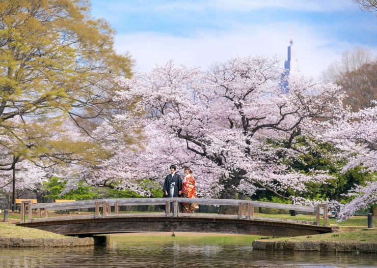 【東京】代々木公園