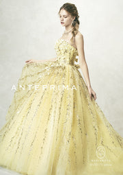 ANT0175　Yellow