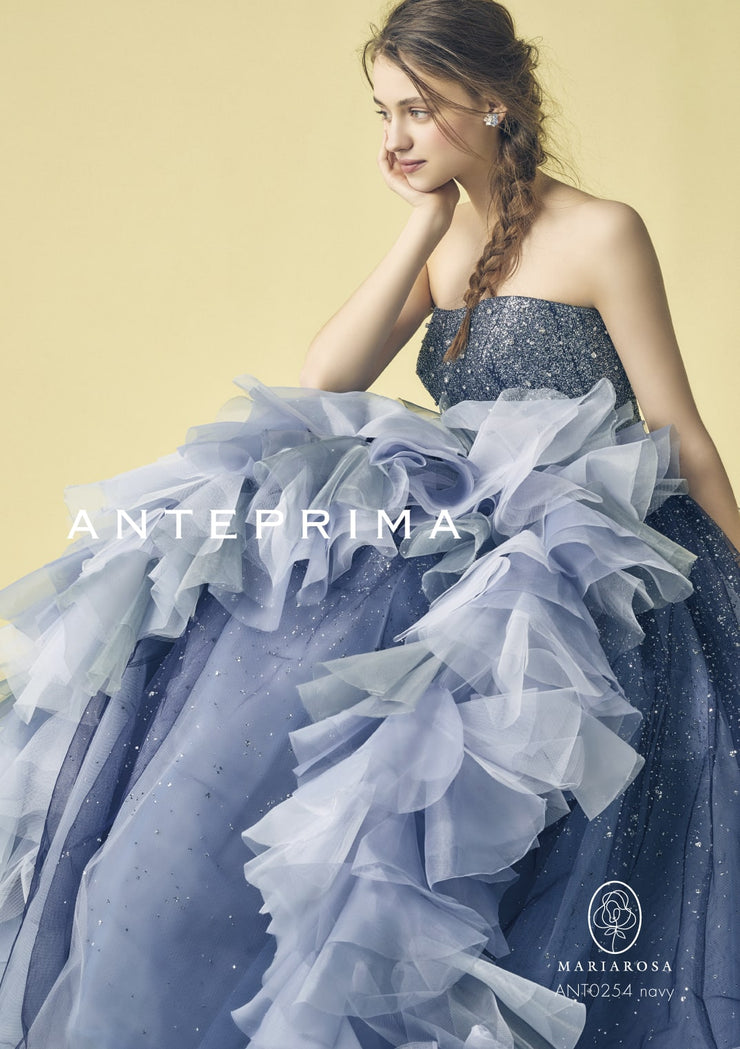 ANT0254　Navy