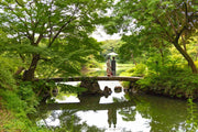 【東京】六義園